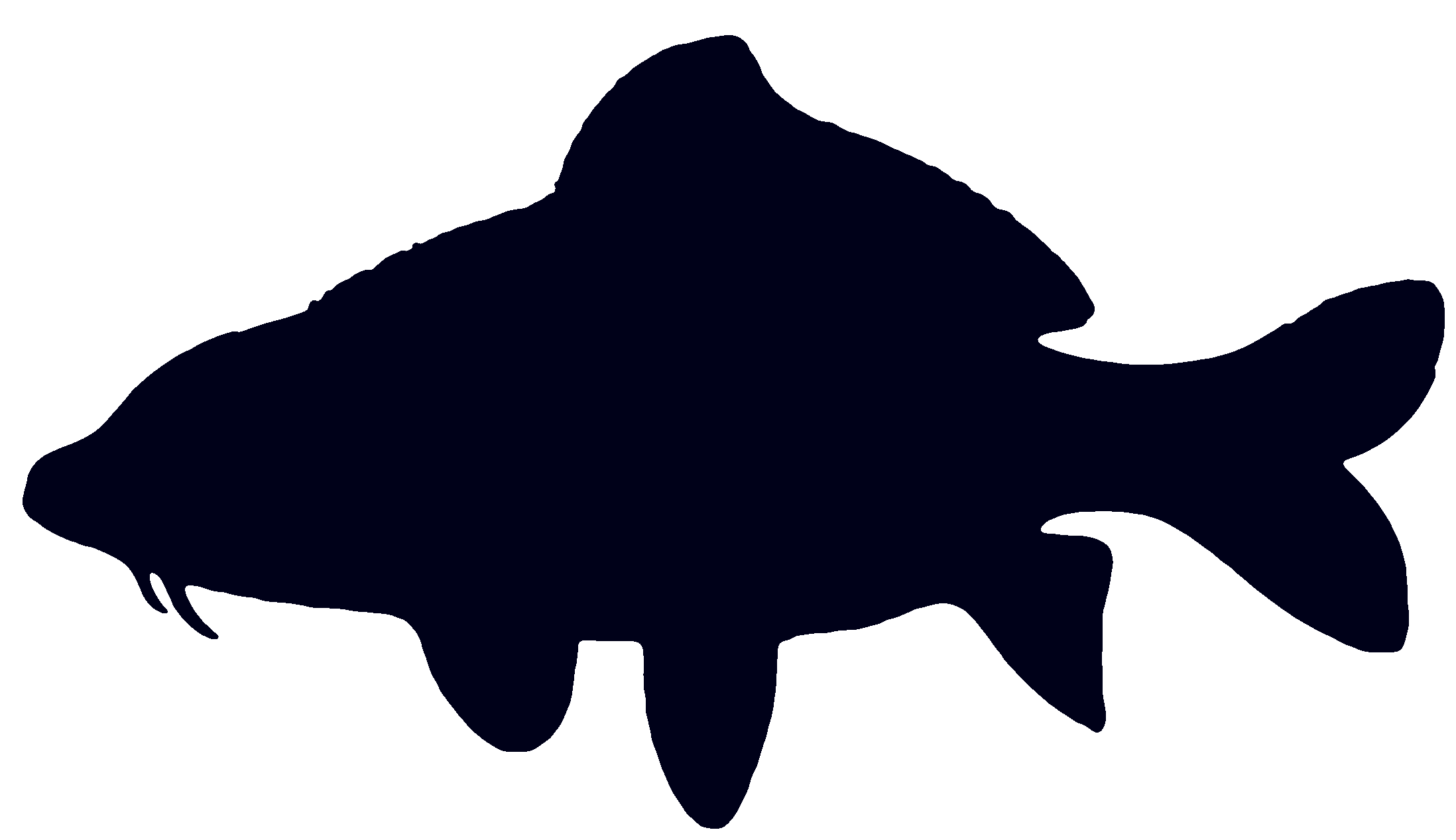 fishshape.gif