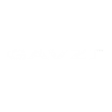 gavzi corporate logo.png