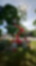 download (4).png