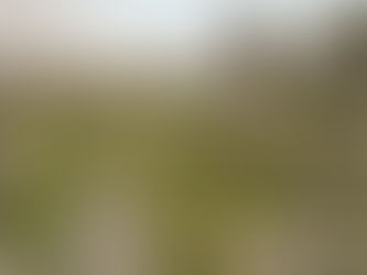 The Emotional Anchor of Graveyards