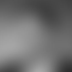 Nick Haan - In Memoriam