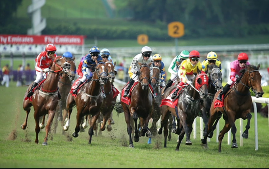 Horse Racing Odds: A Beginner's Guide for Singaporean Punters