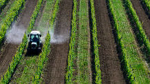 Plus de transparence pour l'autorisation des pesticides