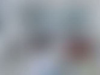 Le pacte vert de la Commission européenne