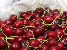 Des cerises pesticidées interdites en France