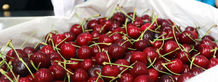 Des cerises pesticidées interdites en France