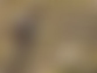 Une consultation publique pour les pesticides