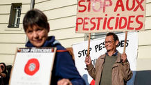La dangerosité des pesticides sous estimée