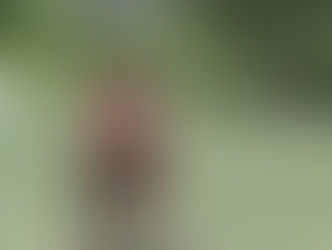 .... und Pailola zieht nach. Auch ein Hengstfohlen!