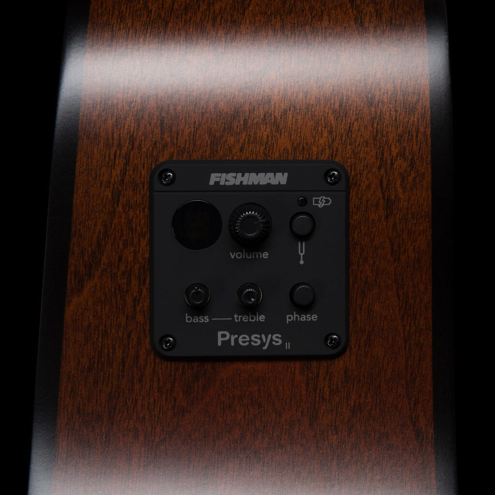 Miniature : Seagull S6 Original Slim Presys II 052028
