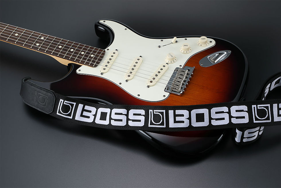 Miniature : Boss BSM-20BW, guitar strap black/black