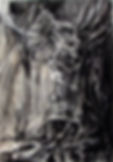 Charcoal on paper