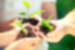 Dedinho verde: prática de jardinagem e educação ambiental