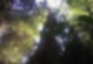 Sítio do Bello - Paraibuna - SP