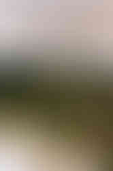 Kahve Markası - Afiş Tasarımları - İç Mekan Tasarımları