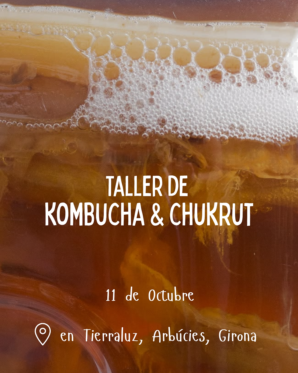 Taller de Fermentos