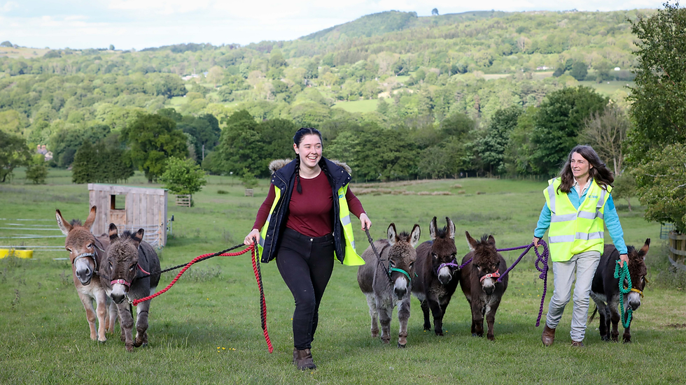 WEBSITE HEADER (3).png