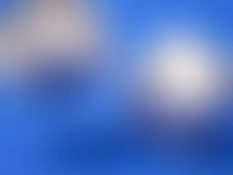 Are you willing to risk it all?