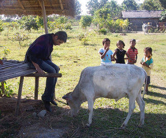 Photography Portfolio