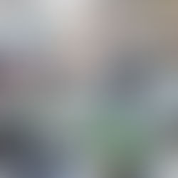 Celebrating the Success of the Supreme Elementary Learner Government Election!