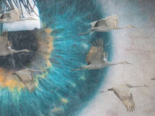 היה שווה להרטב בסערות | חדשות עתיקות #7