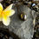 Thumbnail: SHUNGITE PENDANT OLIVE