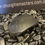 Thumbnail: Sphere Stand Medium