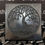 Thumbnail: Tile Polished 100X100X10mm Tree of Life