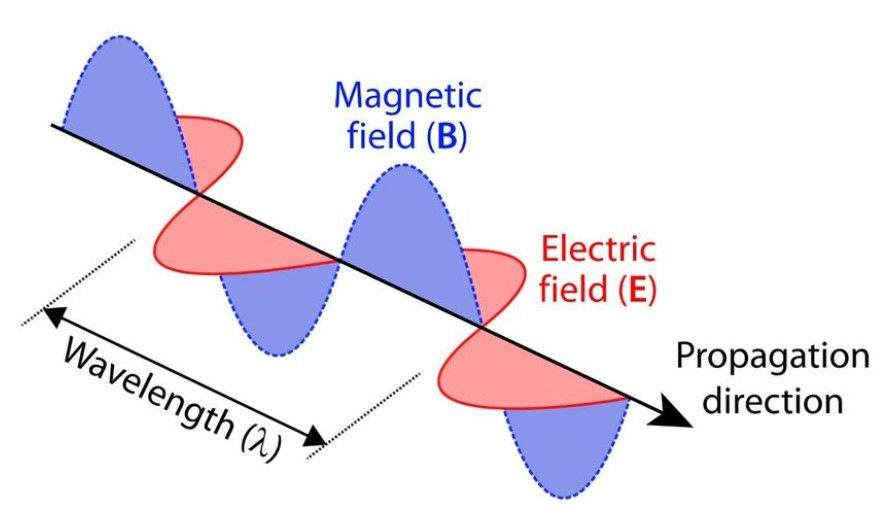 What are electric and fields and EMF's