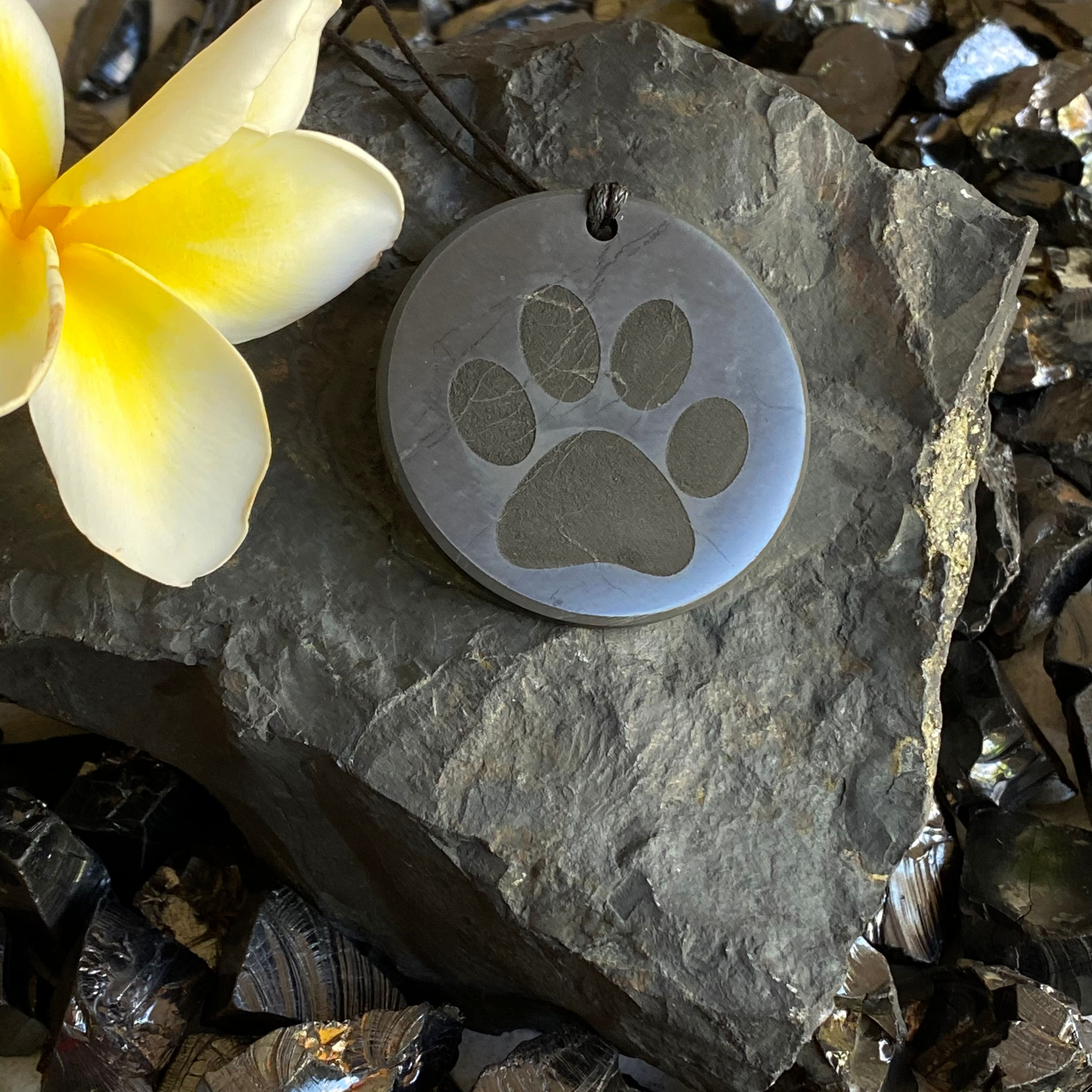 SHUNGITE PAW PENDANT