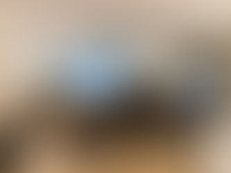 Strong engagement and great discussions at Diadrom