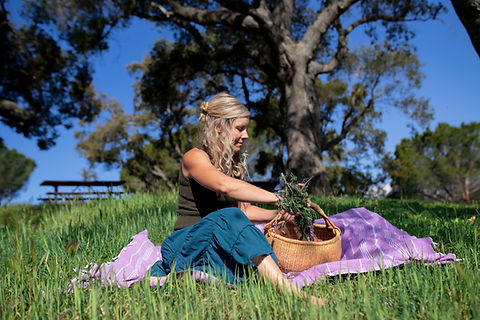 owner of dragonfly organica with basket of lavender