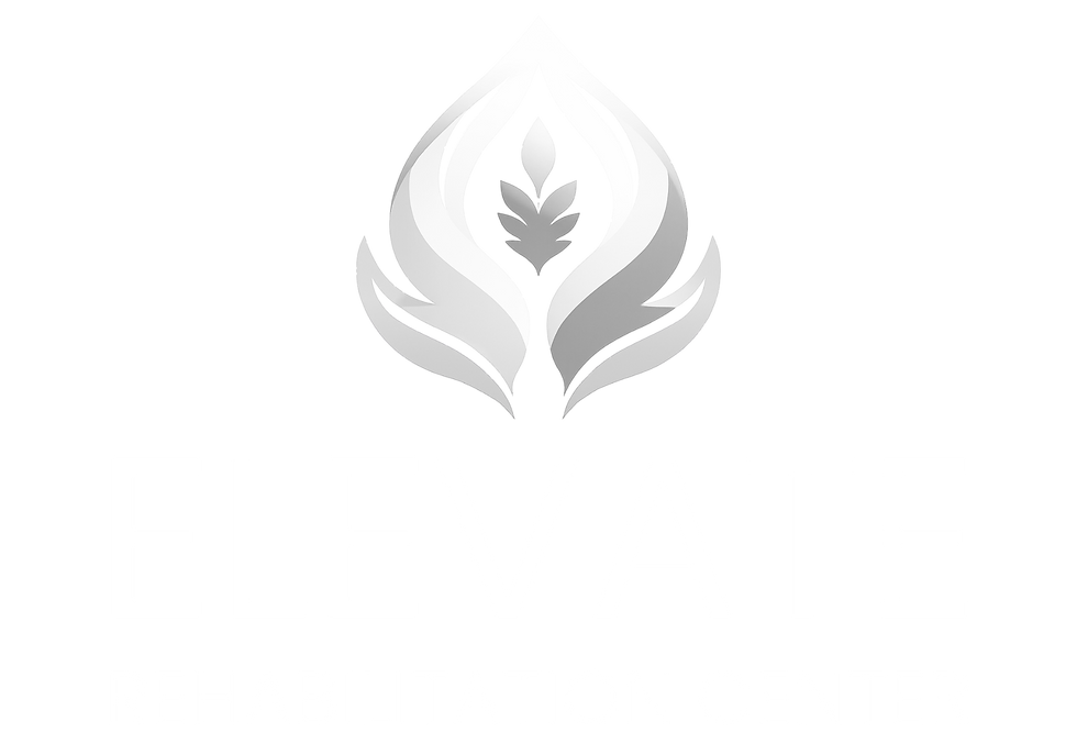 Elevate Logo - on white (1).png