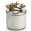 Thumbnail: Michael Aram Butterfly Ginkgo Candle