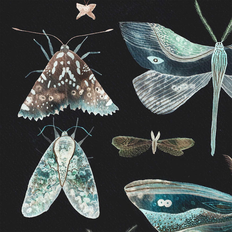 Thumbnail: A Lot Of Moth (nightlight)