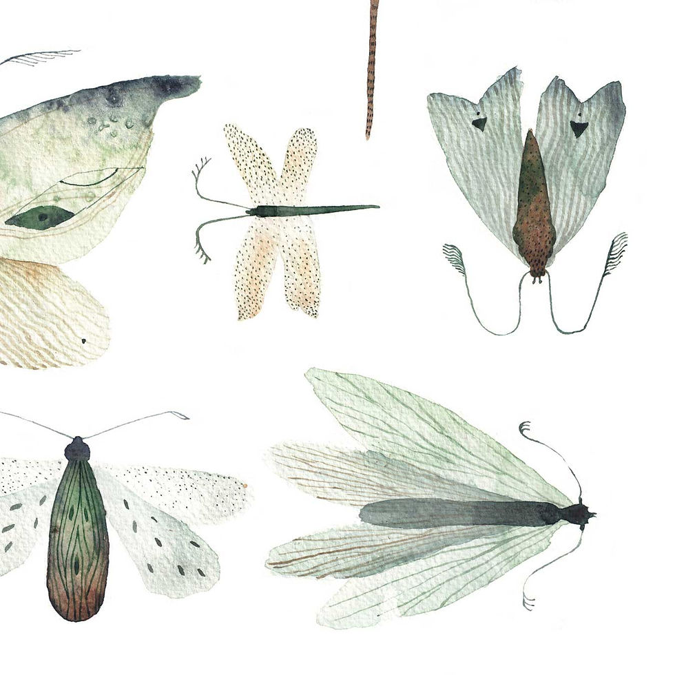 Thumbnail: Silent Wings D