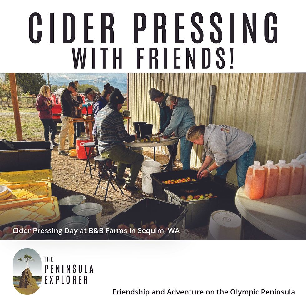 Image of many people at the various stations for cider pressing