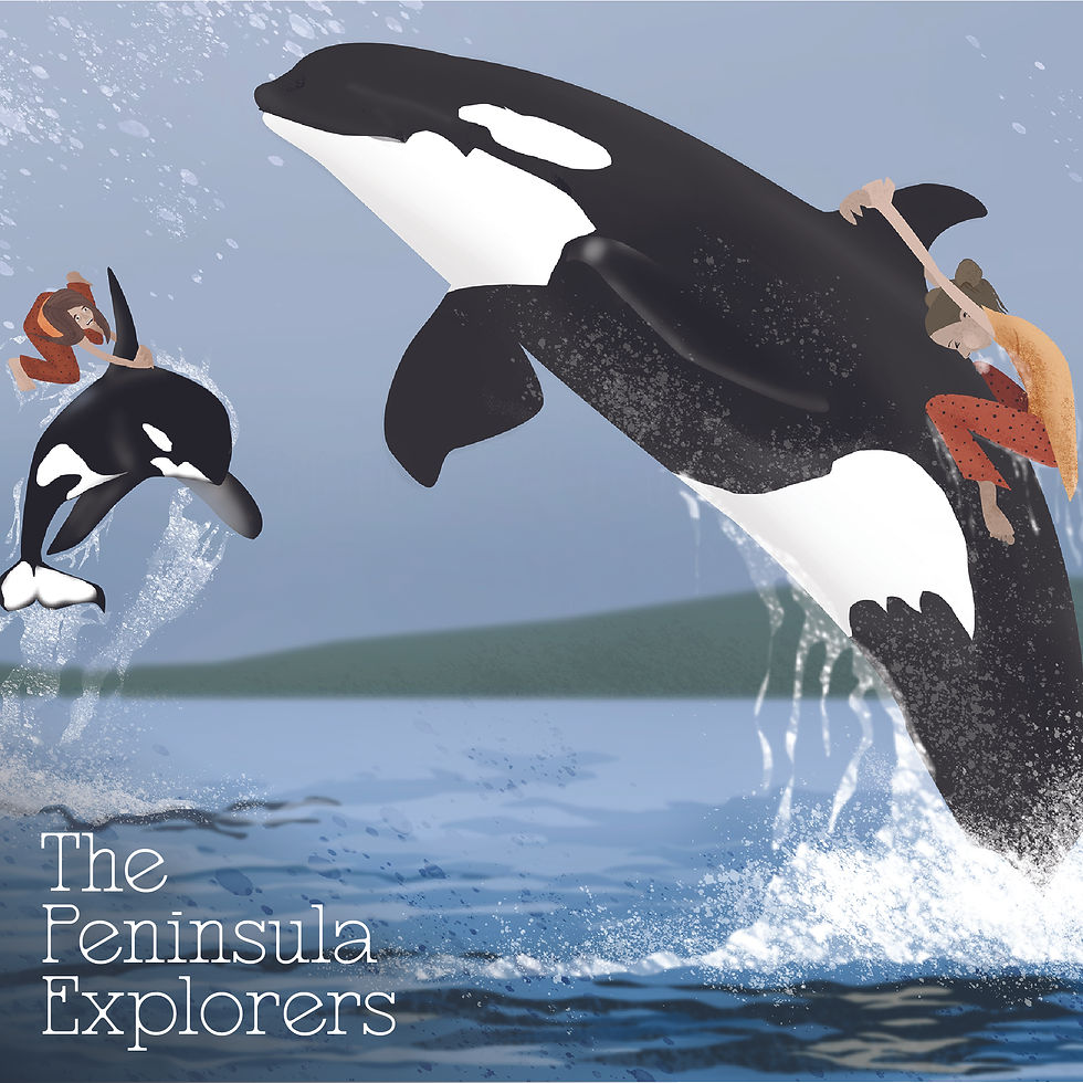 PENINSULA EXPLORERS_sample work-03