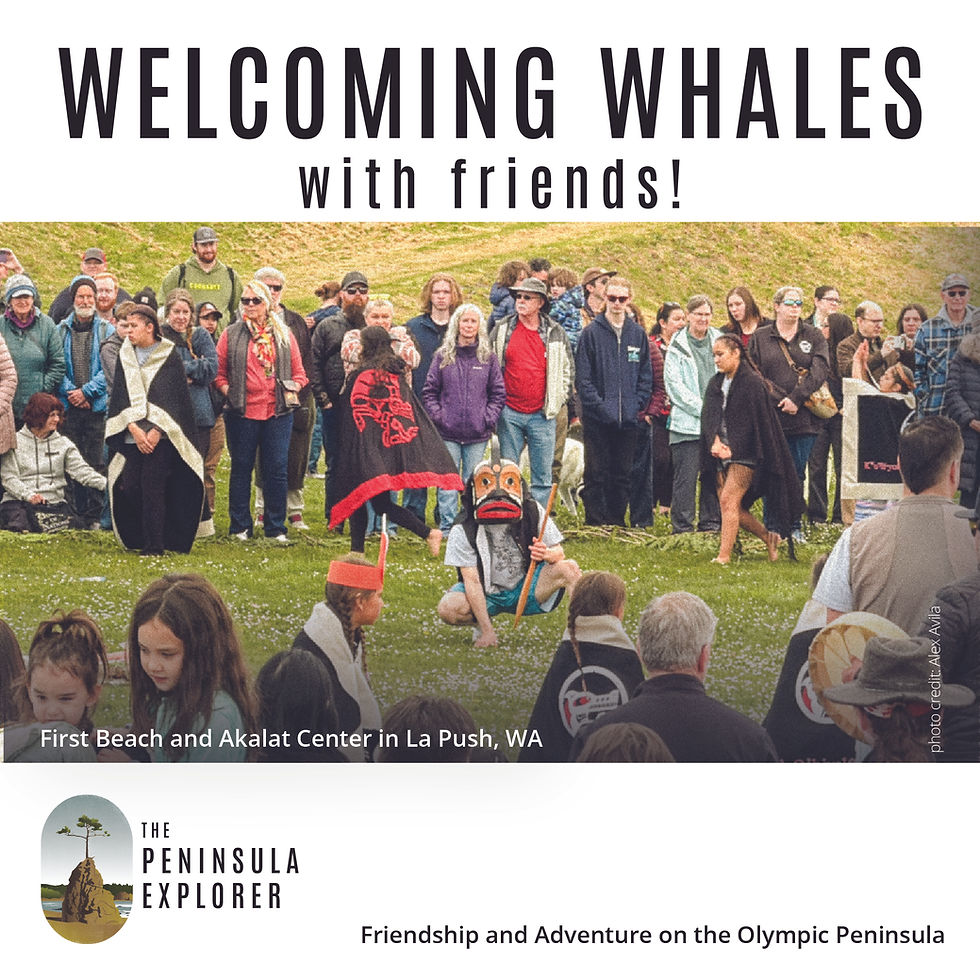 Welcoming the Whales with Friends!