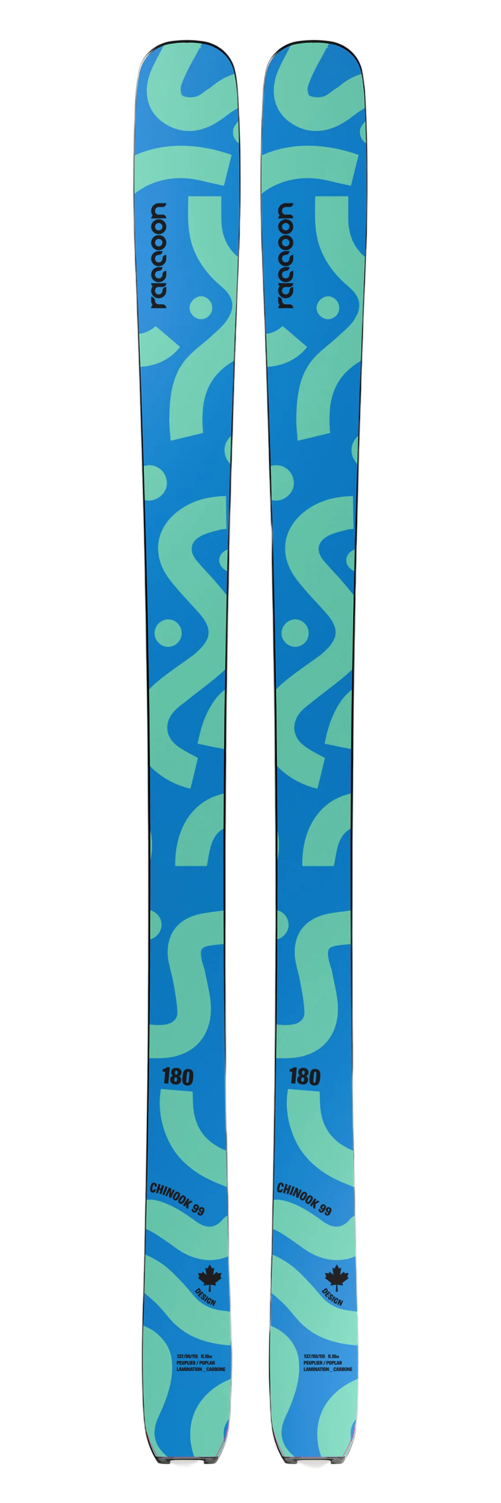 Skis Racoon.png