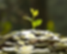 coinplantinvestment.png