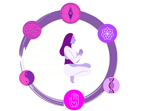 Revive Your Vibe 9 Weeks Programme (1).p