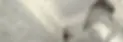 e22c8c_cea33a0b2a744a1691b4221a7d3ca07c.webp