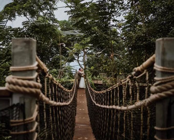 Eden Project Wedding