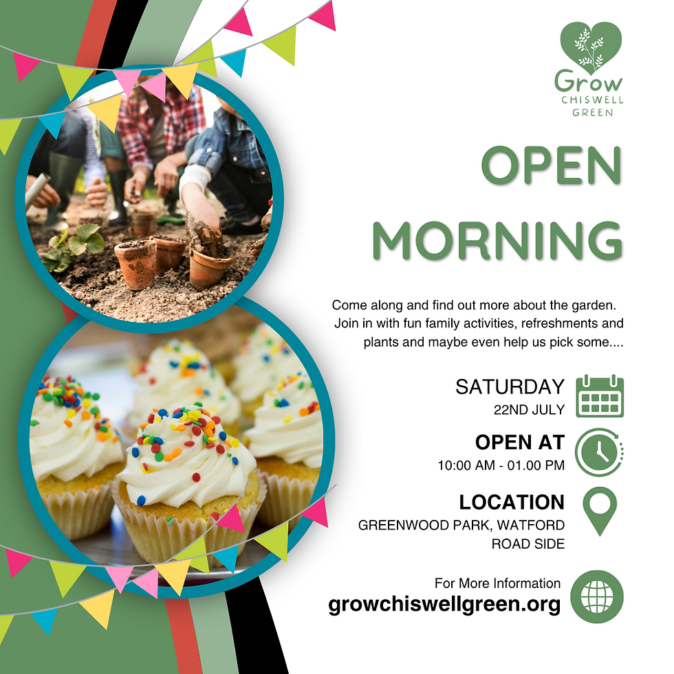 open morning