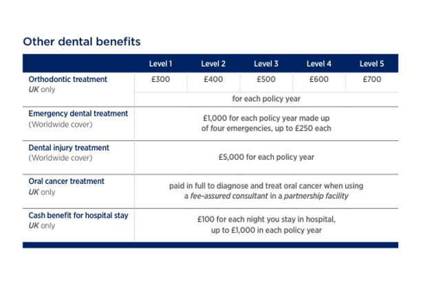 Bupa summary of cover