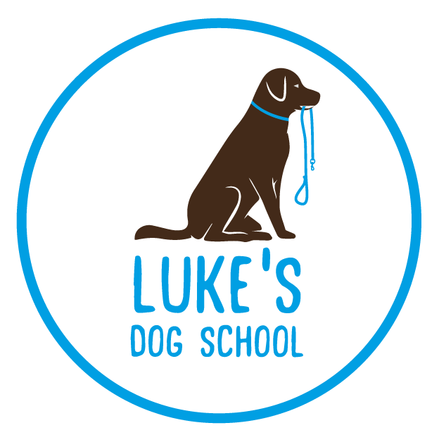 Luke's Dog School
