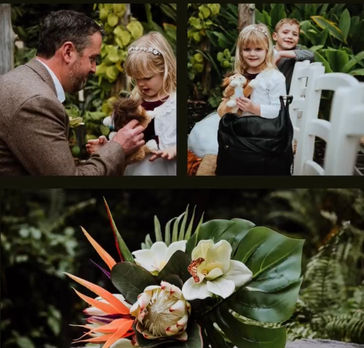 Eden Project Wedding