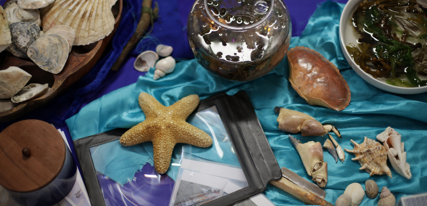 Growing Places community childcare