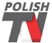 Polish TV logo with gray and red colors, a television icon.